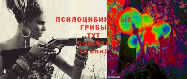 2c-b Новозыбков