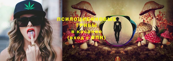 круглые Новодвинск