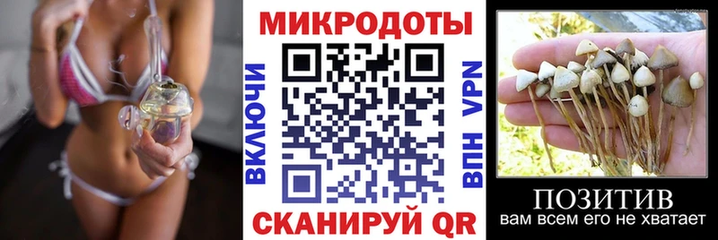 цена наркотик  Тарко-Сале  МЕГА зеркало  Псилоцибиновые грибы GOLDEN TEACHER 